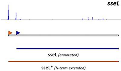 From prediction to function: Current practices and challenges towards the functional characterization of type III effectors